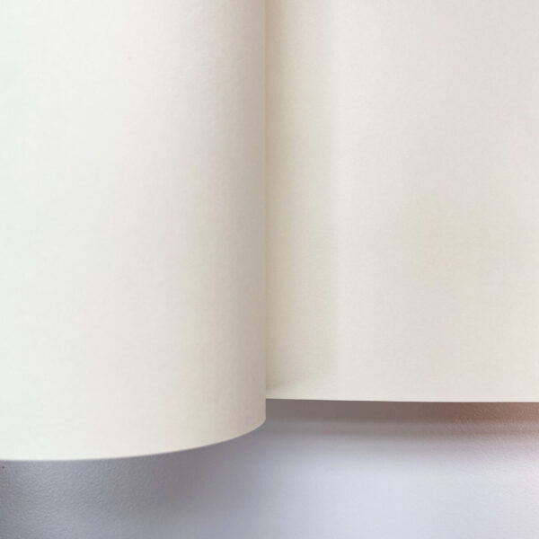 Blank Journal Pages Close-up